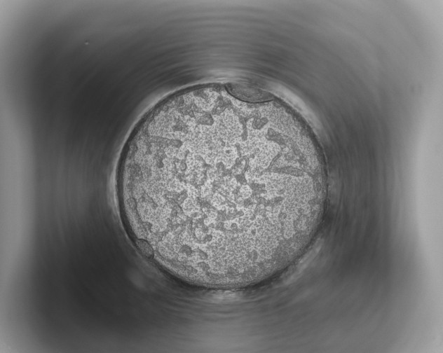 X0000101461283200807280952