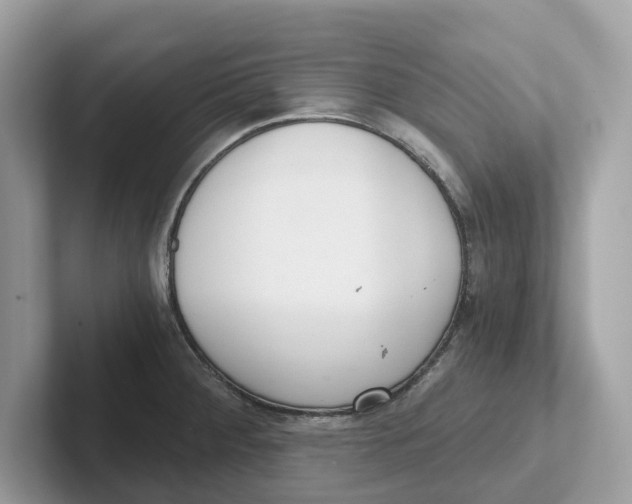 X0000101461284200807280952