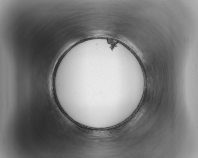 X0000101461285200807280952