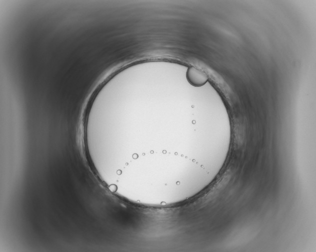 X0000101461286200807280952