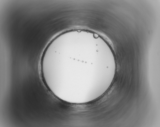 X0000101461287200807280952