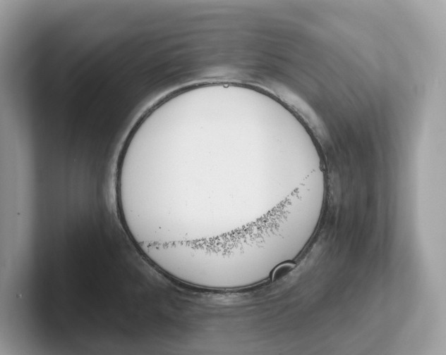 X0000101461288200807280952