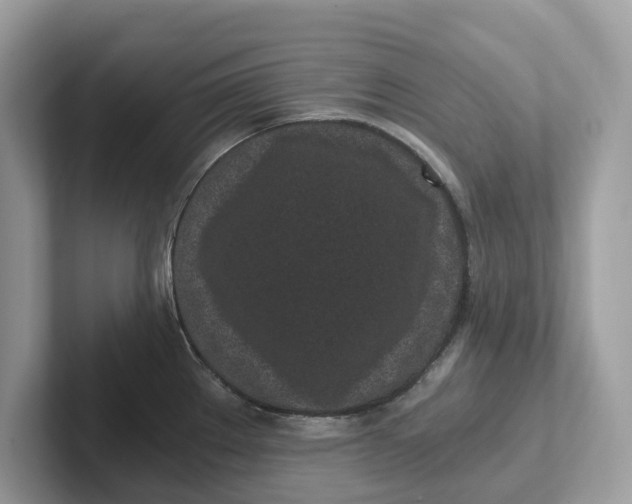 X0000101461289200807280952