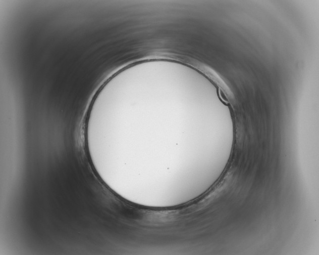 X0000101461292200807280952