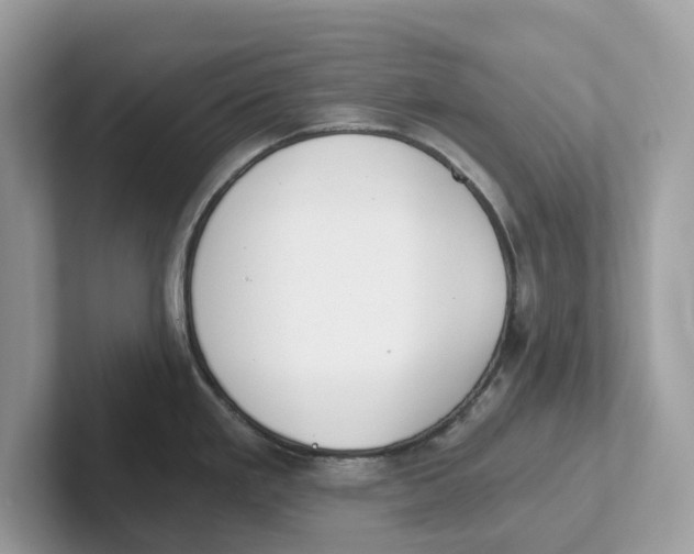 X0000101461293200807280952