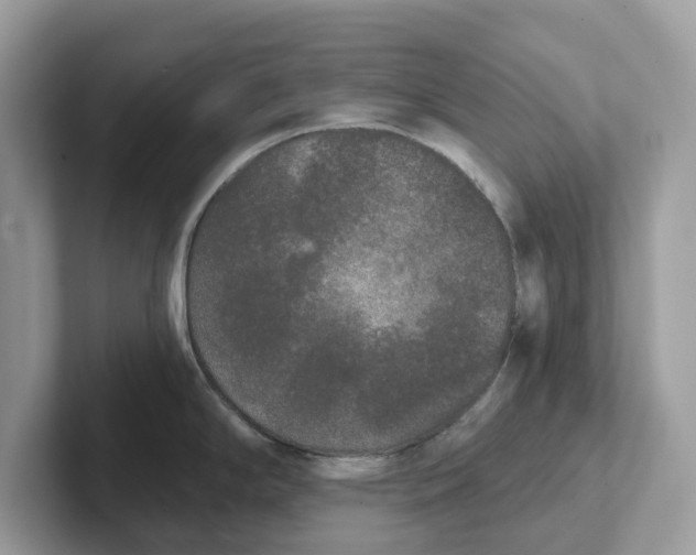 X0000101461294200807280952