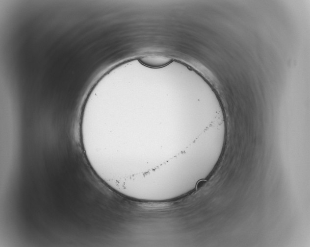 X0000101461296200807280952