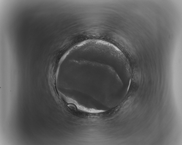 X0000101461297200807280951