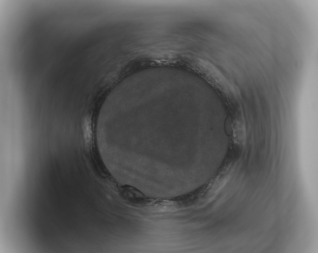 X0000101461298200807280951