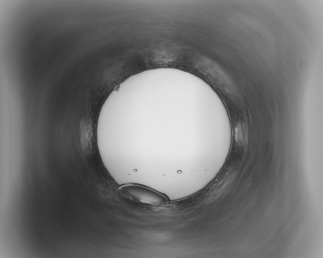 X0000101461299200807280951