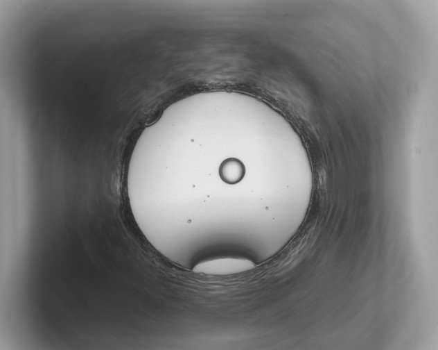 X0000101461300200807280951