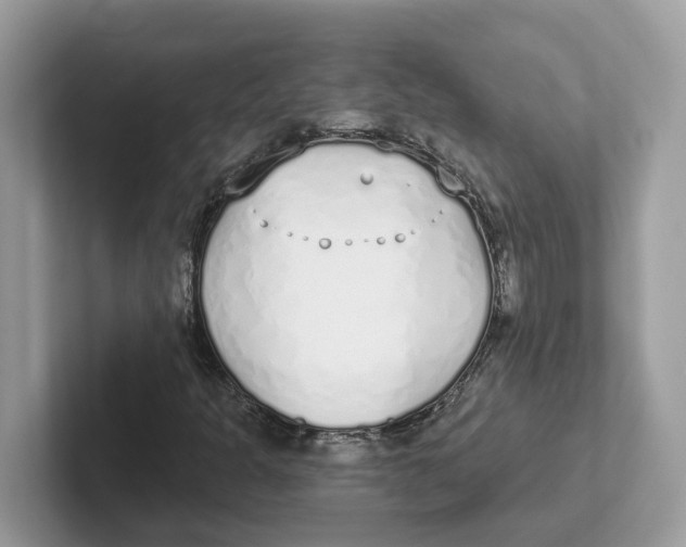 X0000101461301200807280951