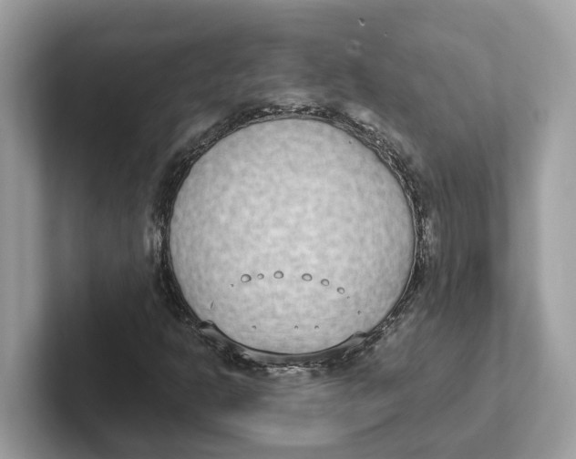 X0000101461302200807280951