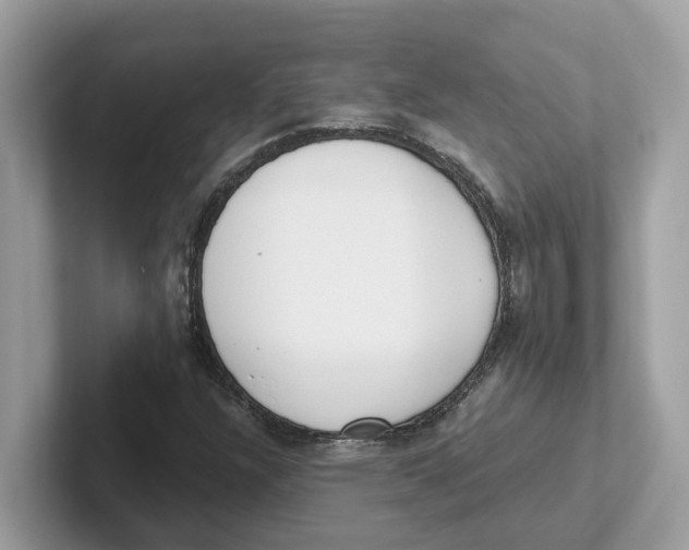 X0000101461304200807280951