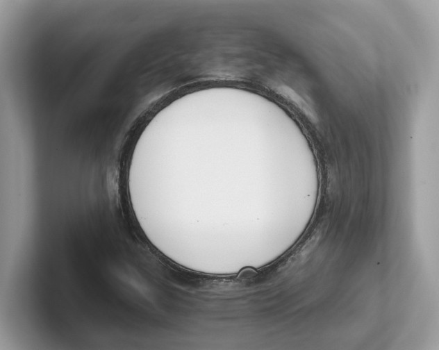 X0000101461307200807280951