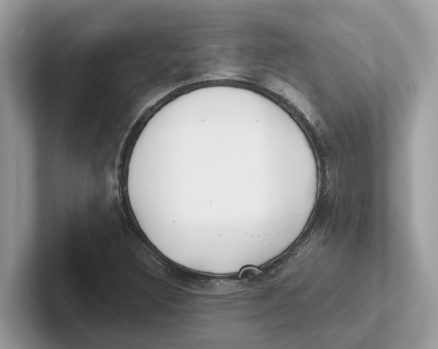 X0000101461308200807280951