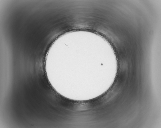 X0000101461314200807280951