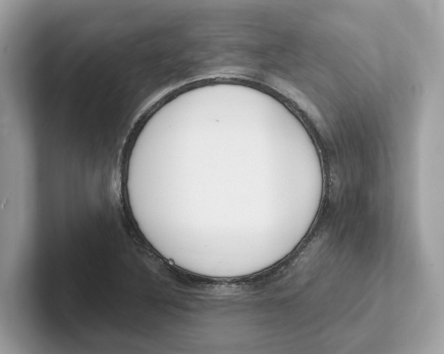 X0000101461316200807280951