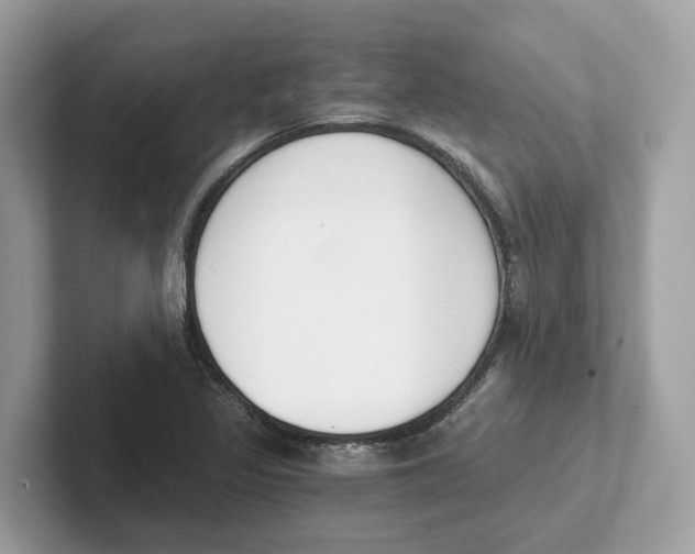 X0000101461317200807280951