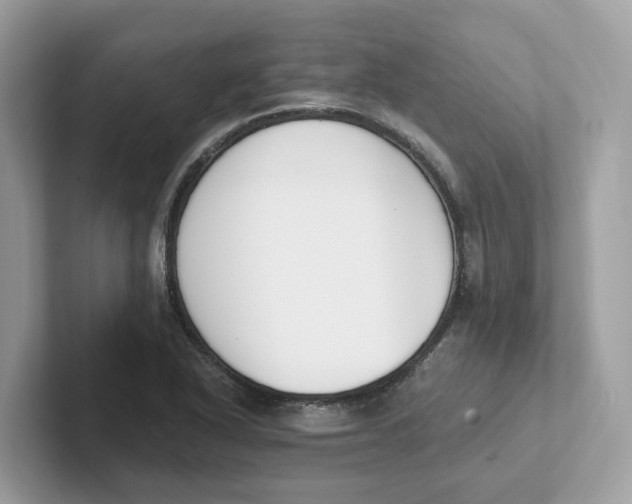 X0000101461318200807280951