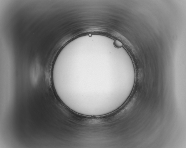 X0000101461321200807280951