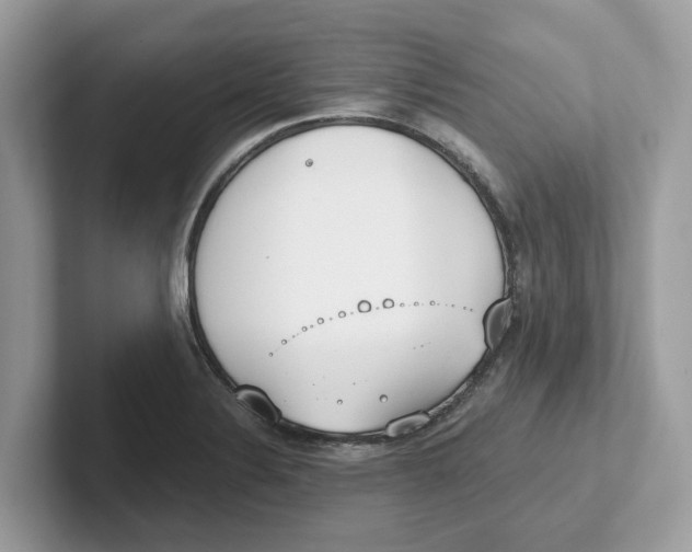 X0000101461324200807280951