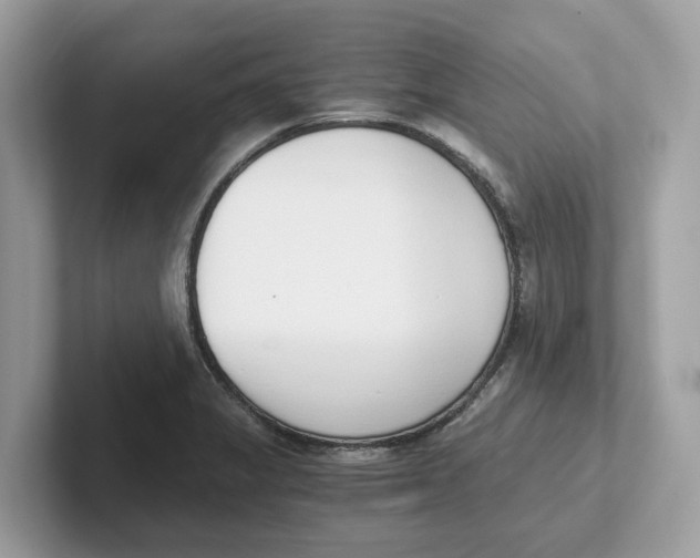 X0000101461325200807280951