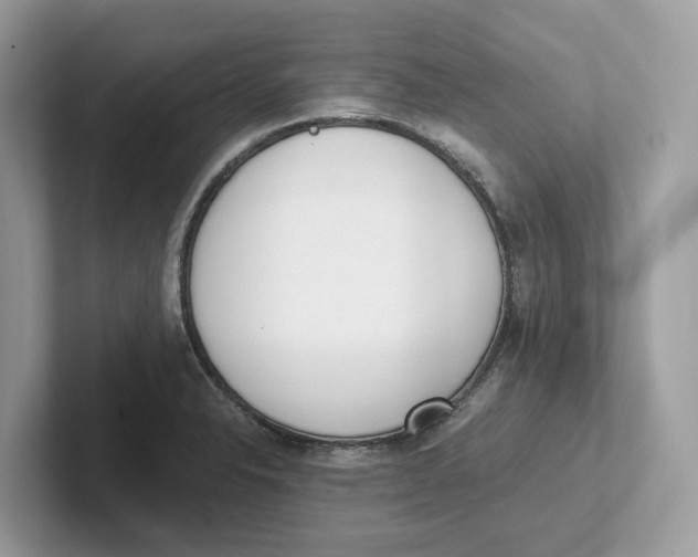 X0000101461326200807280951