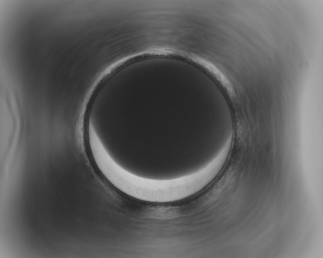 X0000101461327200807280951