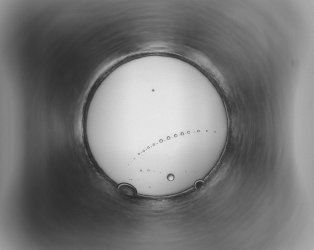 X0000101461328200807280951