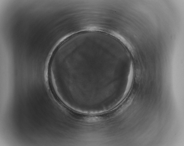 X0000101461331200807280951