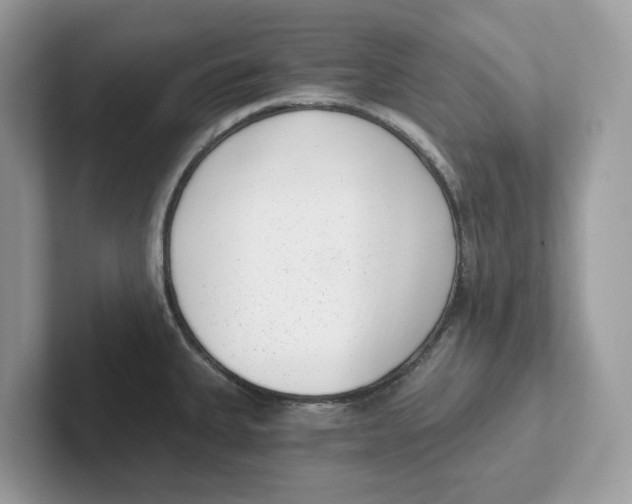 X0000101461335200807280952