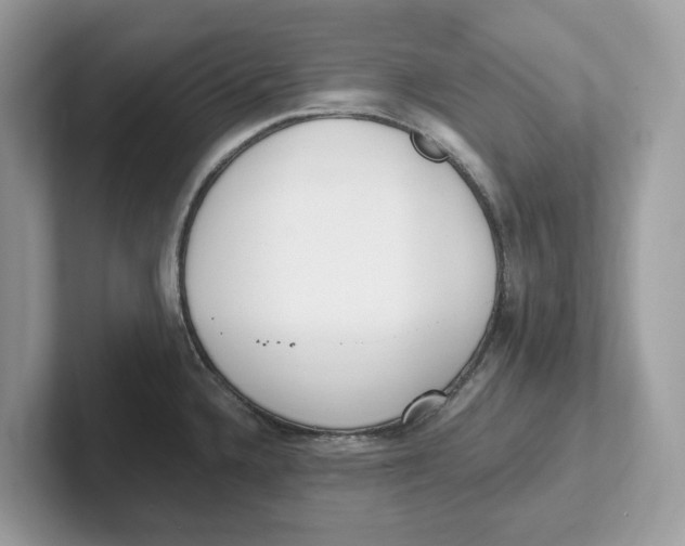 X0000101461336200807280952