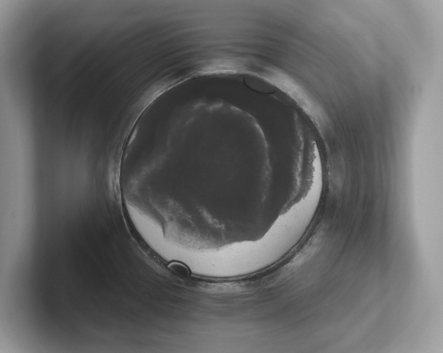 X0000101461337200807280952