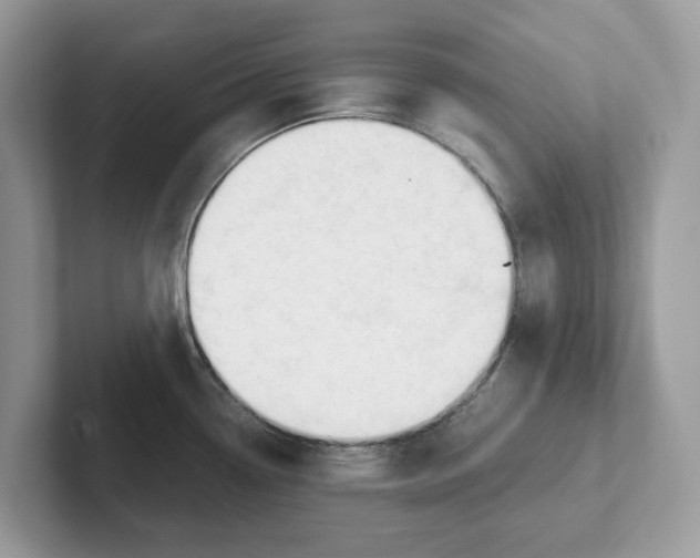 X0000101461338200807280952