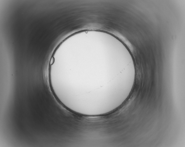 X0000101461343200807280952