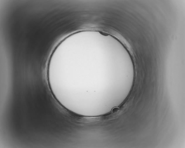 X0000101461344200807280952