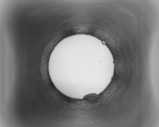 X0000101461345200807280951