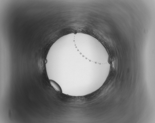 X0000101461347200807280951