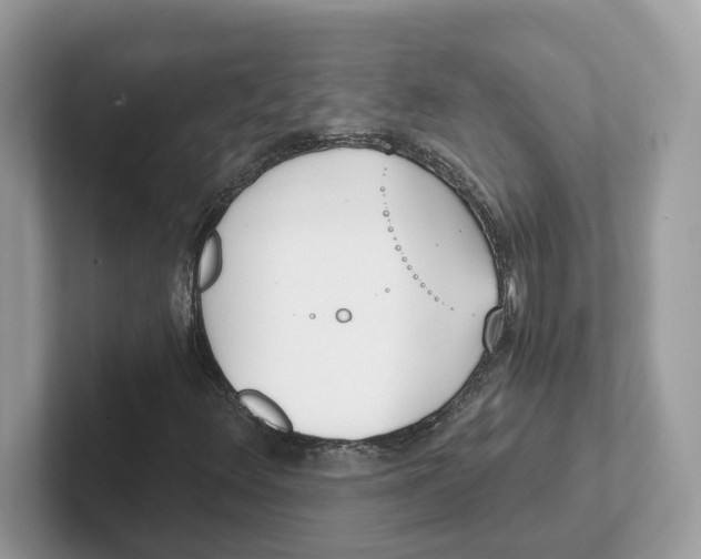 X0000101461348200807280951