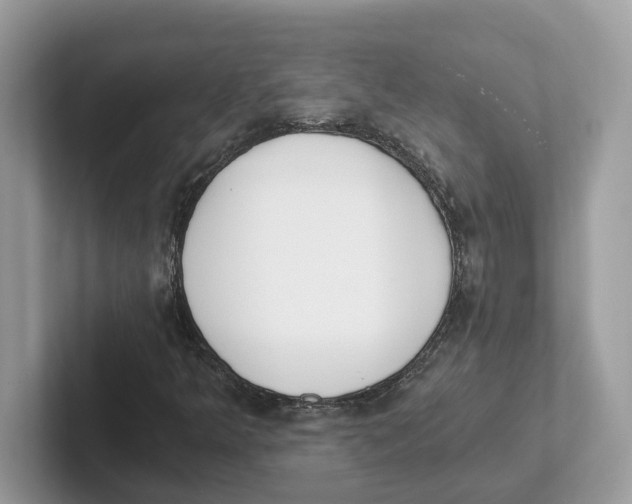 X0000101461349200807280951