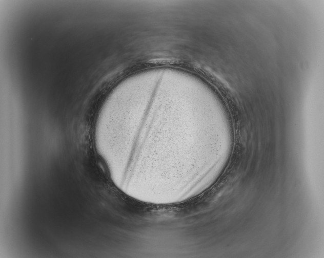 X0000101461351200807280951