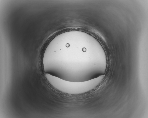 X0000101461352200807280951