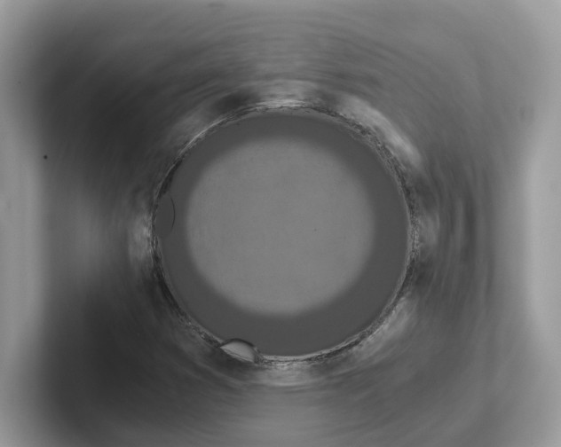 X0000101461353200807280951