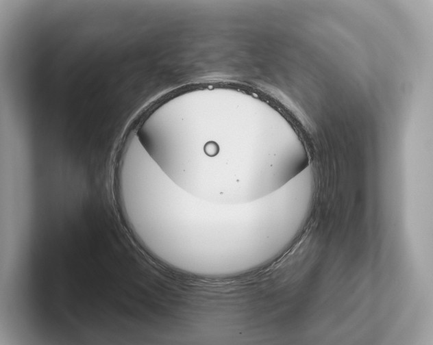 X0000101461356200807280951