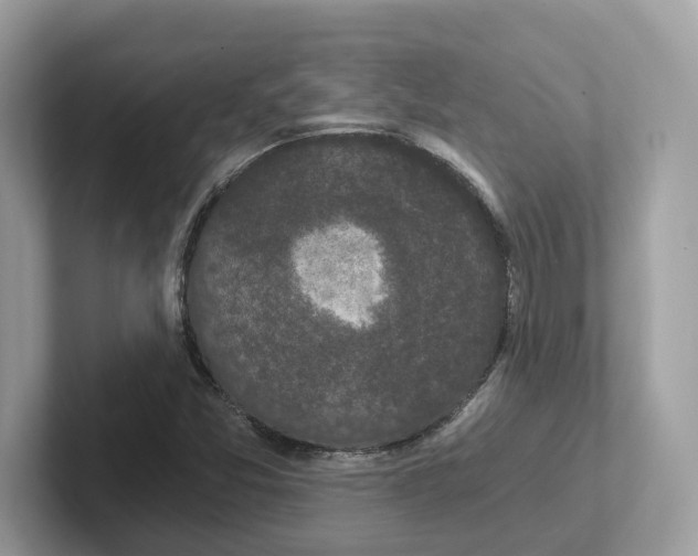 X0000101461357200807280951