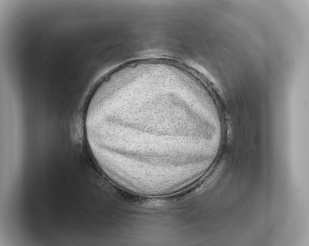 X0000101461358200807280951