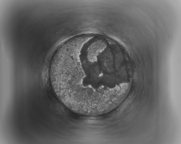 X0000101461359200807280951