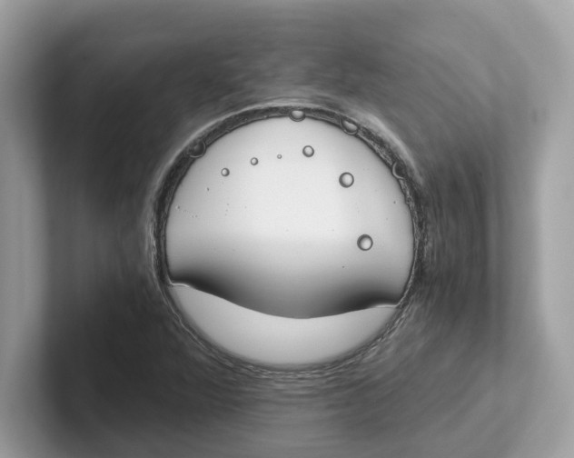 X0000101461360200807280951