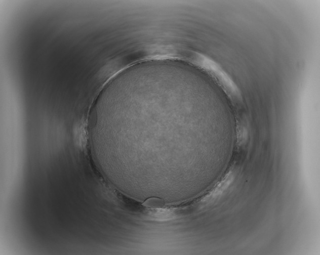 X0000101461361200807280951